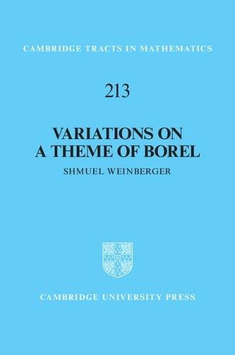 Variations on a Theme of Borel by Shmuel Weinberger - 9781107142596