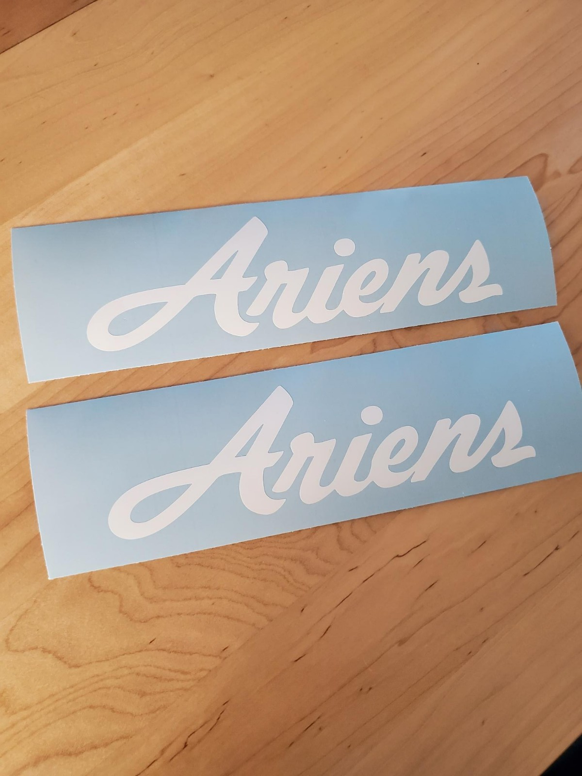 Ariens Snowblower 10” (2) Gloss white Decals Stickers mower tiller usa ...
