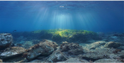 Ocean Floor Fish Tank Background Underwater Stone Aquarium Background 72x24 inch