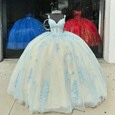 Spaghetti Straps Quinceanera Dresses Appliques Backless 15th Birthday Ball Gowns