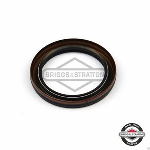 Briggs /& Stratton 795387 Oil Seal Replaces//499145