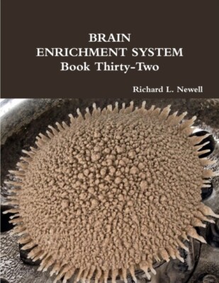 Newell - BRAIN ENRICHMENT SYSTEM Book Thirty-Two - New paperback or so - X555z