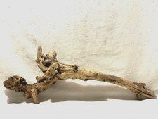 natural driftwood fish aquarium, reptile, taxidermy, decor, art carving, unique