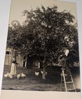 Rare Antique American Farm Picking Fruit Feeding Chickens Photo Postcard! RPPC! — photo 1