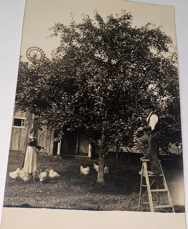 Rare Antique American Farm Picking Fruit Feeding Chickens Photo Postcard! RPPC!