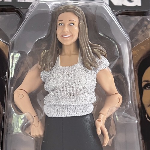 TNA Impact Wrestling DIXIE CARTER Figure Deluxe Exclusive 2013 MOC WWE WWF AEW - Picture 4 of 20