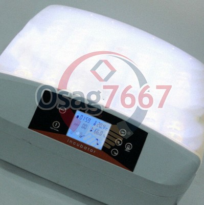 ONE Digital Automatic Temperature Control 56 Eggs Incubator 220V NEW #A6-29