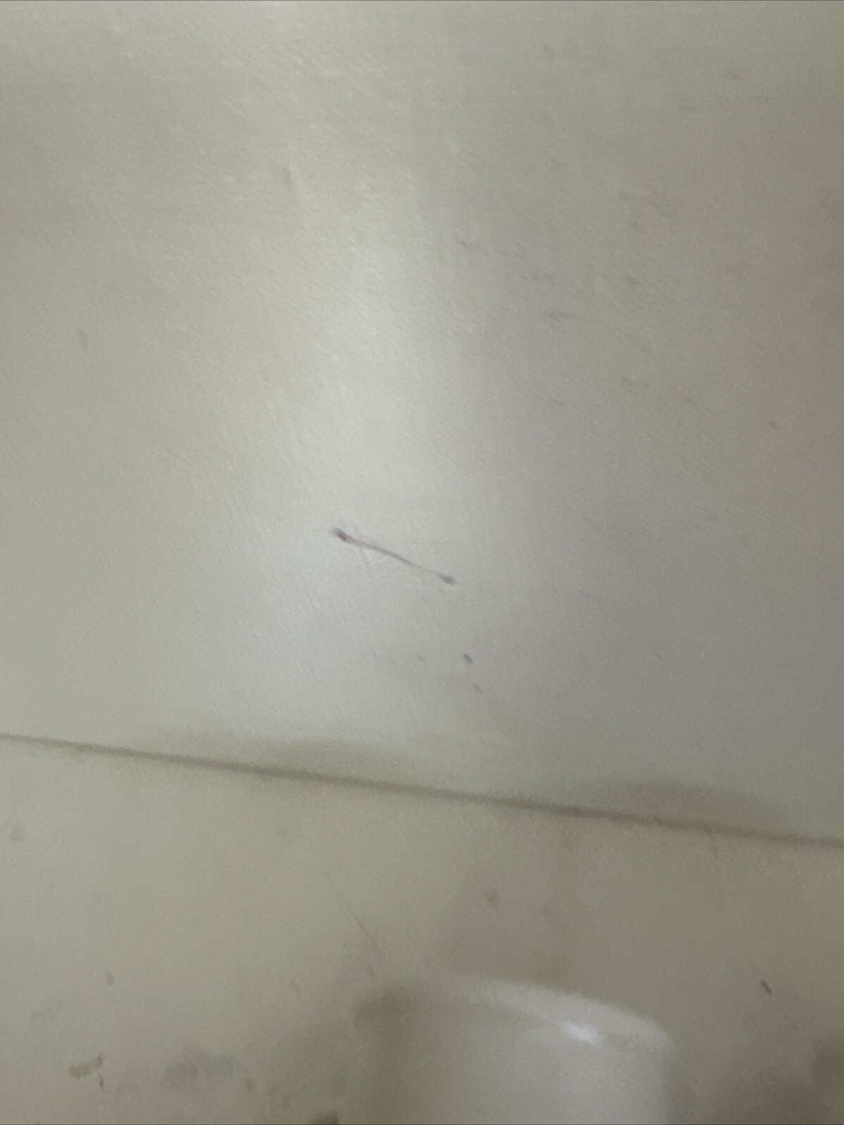 Picture 8 of 8