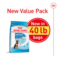 Royal Canin Size Health Nutrition Large Puppy Dry Food, 40 lbs.