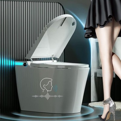 Electric Bidet Smart Toilet, Voice Control, Auto Open/Close Lid & Seat with R...