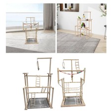 Papagei Vogel Spielplatz Vogel Fitness studio für Nymphen sittich Kleine