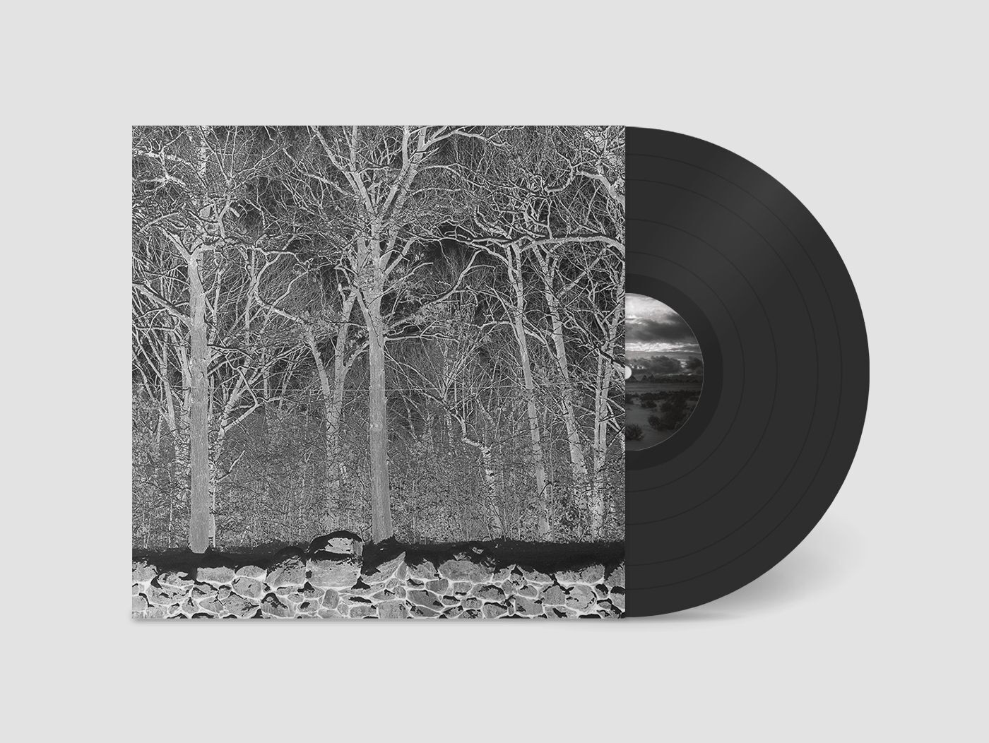 Pile Sunshine and Balance Beams (Vinyl LP) 12" Album