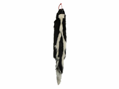 Skunk Skin Pelt Hide (54-TP-G3134) Y1K