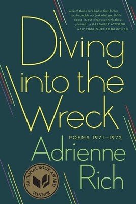Adrienne Rich Diving into the Wreck (Taschenbuch)