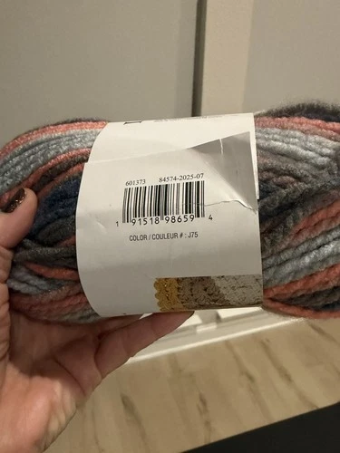 Loops & Threads Charisma Yarn Lot 5 Skeins Bulky #5 Variegated Acrylic NWT New image 3