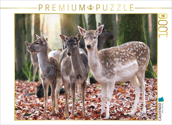 Calvendo Puzzle Fallow Deer | 1000 Pieces, Finished Size 25.2 × 18.9 In (64 × 48-image