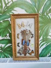 Glazed Montage of Butterflies & Dried Flowers in Decorative Gilt Frame