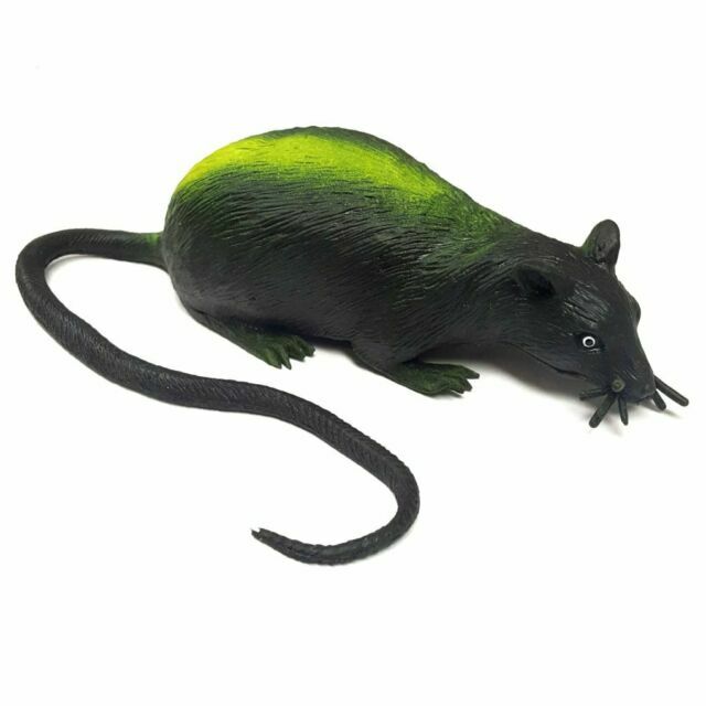 squishy rat toy