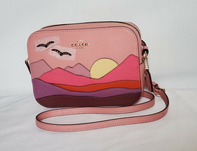 coach outlet mini camera bolsa