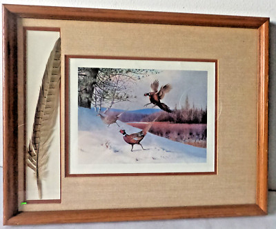 Owen Gromme Small Pheasant Print with Pheasant Feather, framed at 19'' x 15.5''