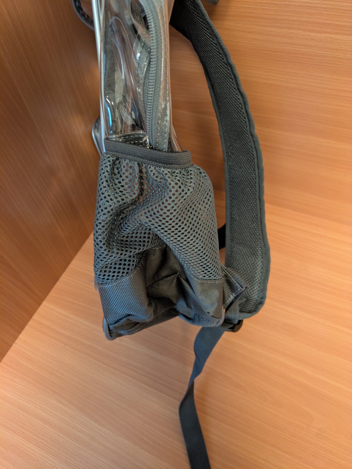 Adolescent School Transparent Backpack Unisex - image 2