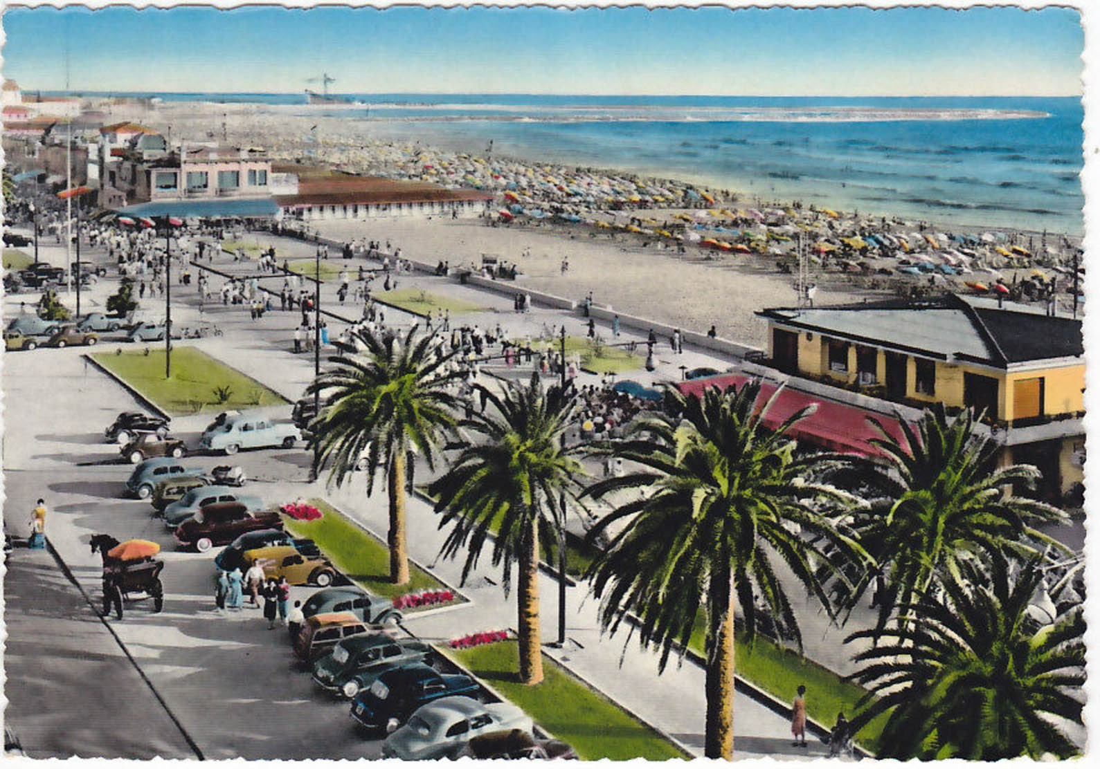 VIAREGGIO - LUCCA - VIALI E SPIAGGIA -33924-