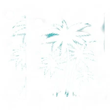 Coconut Breeze DIY Silk Screen Kit: 2Pcs 8.6x11 Inch Self-Adhesive Mesh with Tro