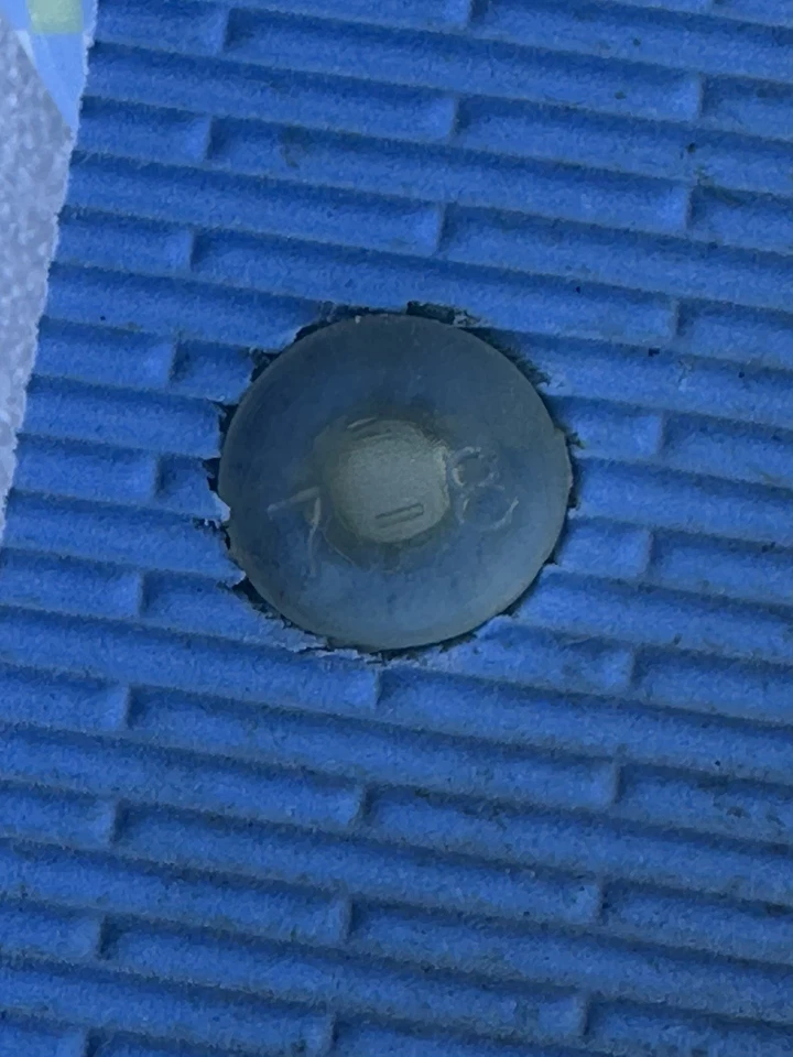 Vera Bradley Flip Flop’s Women’s Size 7-8 Blue Sunflower Sandals Shoes - Image 4 of 4