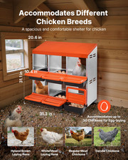 2 Tiers Chicken Nesting Boxes, 6 Compartments, and Other Poultry