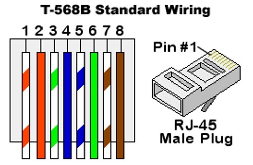 Lot40 5ft RJ45Cat5e Ethernet Cable/Cord$SH DISC {PURPLE {F