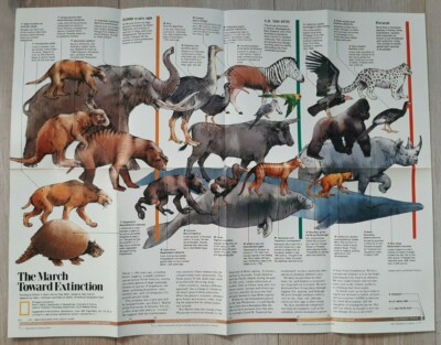 National Geographic Supplement: The March Towards Extinction. (June, 1989).
