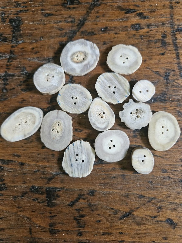 Set Of 14 White Tail Deer Antler Clothing Buttons - Pre Drilled Sewing Holes