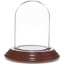 Plymor 2" x 3" Mini Glass Display Dome Cloche Walnut Veneer Base 