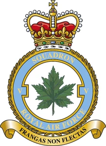 No. 5 Squadron RAF badge patch Self Adhesive Vinyl Sticker