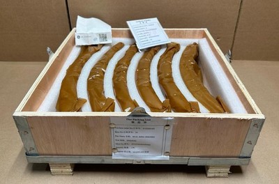 Genuine OEM GE Vernova DN630 Steam Turbine Seal Ring Kit DN630X6 Alstom STF30C