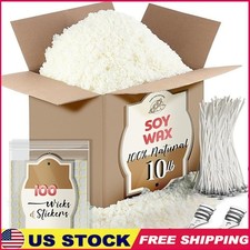 All-In-One Soy Candle Making Starter Kit Eco-Friendly Wax Flakes Wicks Tools New