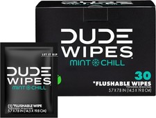 DUDE Wipes - On-The-Go Flushable Wipes - 1 Pack, 30 Wipes - Mint Chill Extra