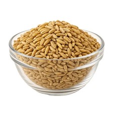 Organic Oat Groats 500g-25kg (Sussex Wholefoods)