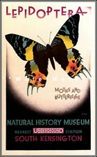 Natural History Museum 1928 South Kensington UK Vintage Poster Print Retro Art
