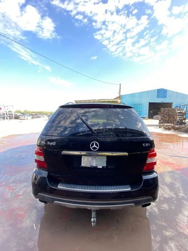 A1645450304 Mando Luces para MERCEDES-BENZ CLASE ML (BM 164) 2005 756820 - Imagen 7 de 10