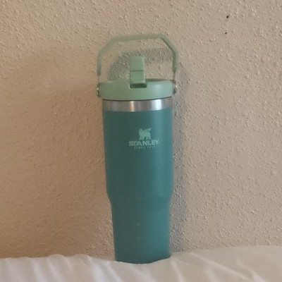 Stanley 20 oz Green Vacuum Insulated Tumbler w/ Handle & Flip Lid