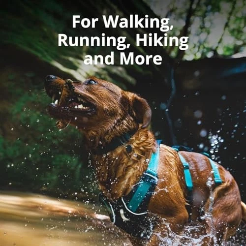 , Flagline Dog Harness, Lightweight and Reflective, Large/X-Large Basalt Gray - Image 4 of 4