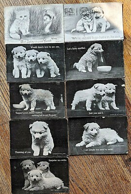 Omaha Nebraska The Little White Dog Rescue Antique 1911 Etc White