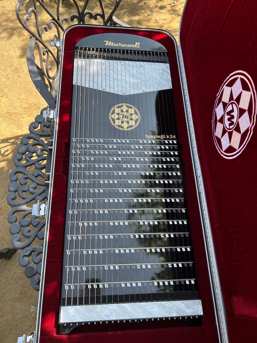激レア harpejji k24 Marcodi Harpejji K24 24 String Instrument in stunning gloss
