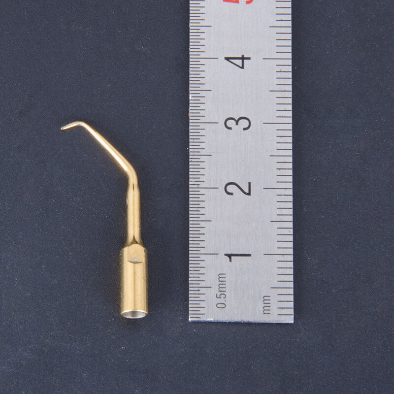 Picture 94 of 131