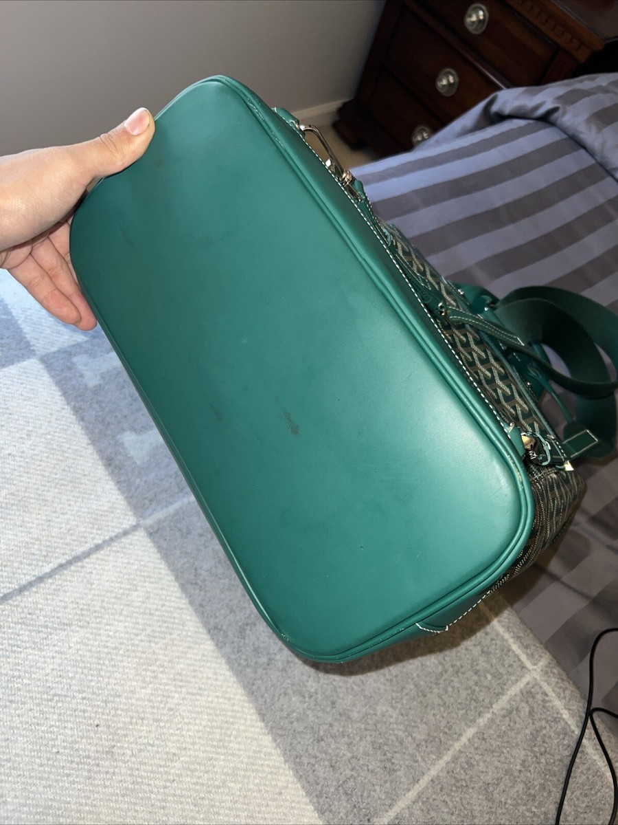 Goyard Alpin MM Backpack Green | eBay