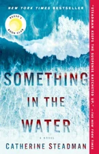 Something in the Water: A Novel - Paperback By Steadman, Catherine - VERY GOOD