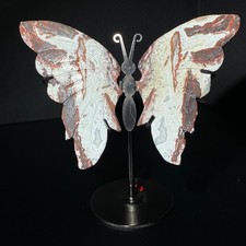 Rare Mexican Crazy Banded Lace Agate Handcarved Butterfly Morocco