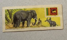 1965 - SUGAR DADDY CANDY "ANIMALS & FLAGS OF THE WORLD" Indian Elephant Card #30