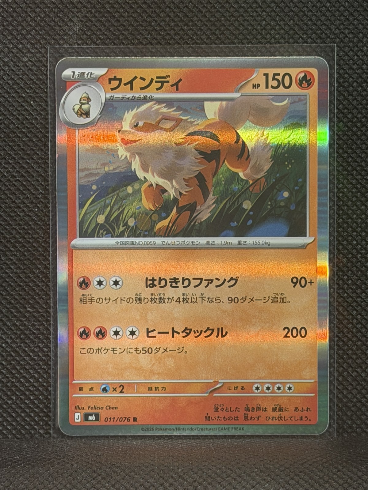 Pokémon Storm Emeralda - Japanese Arcanine #11 Rare Holo
